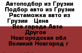 Автоподбор из Грузии.Подбор авто из Грузии.Растаможка авто из Грузии › Цена ­ 25 000 - Все города Авто » Другое   . Новгородская обл.,Великий Новгород г.